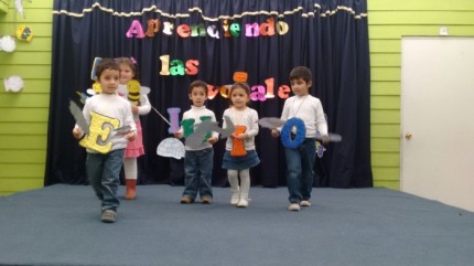 WhatsApp-Image-20160531 (13)